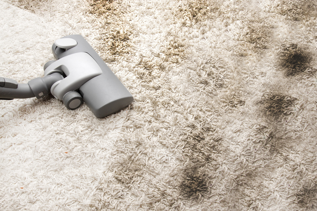 Best Carpet Cleaners Adelaide